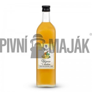 Zázvor s medem 1l