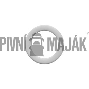 Kluzná teflonová podložka čepu (22)