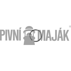 Zajišťovací kroužek tyče (21)