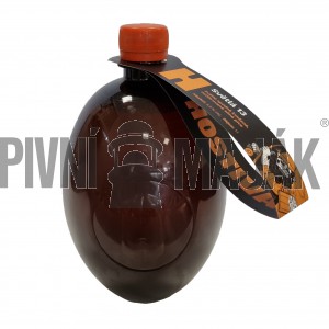 Hostivar Světlá 13°  1l